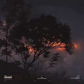 COVER FOR AWAKE (remix)